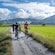 4 bicyclists riding on a gravel road through a paddy field in Langkawi, Malaysia